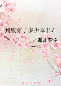 到底穿了多少本书？TXT下载"