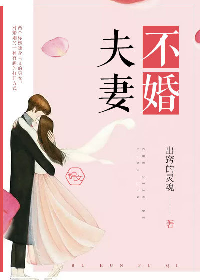 不婚夫妻TXT下载"