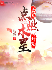 无敌从点燃木星开始TXT下载"