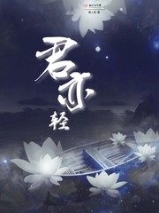 君亦轻TXT下载"