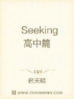 Seeking高中篇TXT下载"