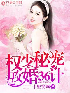 权少秘宠：攻婚36计TXT下载"