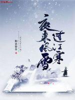 夜来风雪过江寒TXT下载"