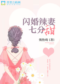 闪婚辣妻七分甜TXT下载"