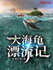 大海龟漂流记TXT下载"