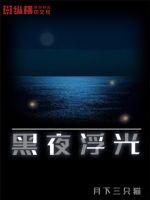 黑夜浮光TXT下载"