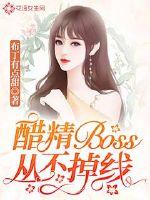 醋精Boss从不掉线TXT下载"