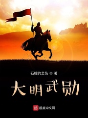 大明武勋TXT下载"