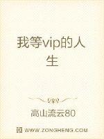 我等vip的人生TXT下载"