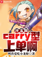 什么叫Carry型上单啊TXT下载"