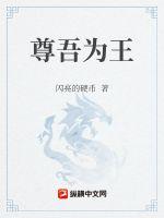 尊吾为王TXT下载"