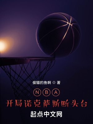 NBA：开局诺克萨斯断头台TXT下载"