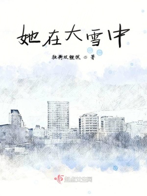 她在大雪中TXT下载"