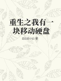 重生之我有一块移动硬盘TXT下载"