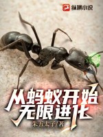 从蚂蚁开始无限进化TXT下载"