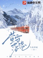 萤雪落港TXT下载"