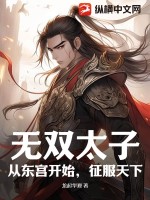 无双太子：从东宫开始，征服天下TXT下载"