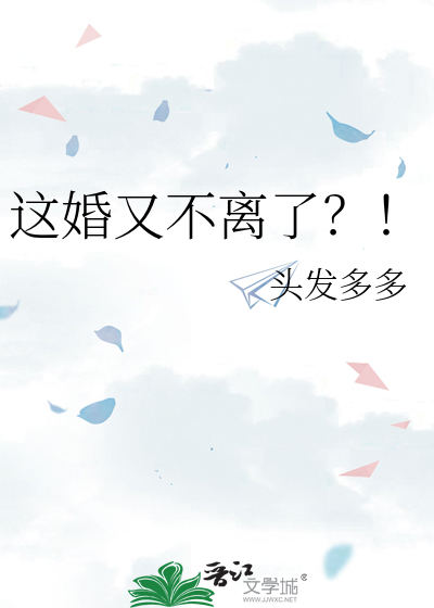 这婚又不离了？！TXT下载"