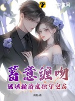 蓄意缠吻，继姐新婚夜独守空房TXT下载"