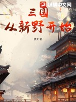 三国：从新野开始TXT下载"