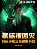 家族被团灭，我反手创立最强佣兵团！TXT下载"