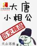 大唐小相公TXT下载"