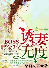 聘金3亿，BOSS惑妻无度TXT下载"