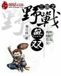 三国之野战无双TXT下载"