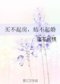 买不起房，结不起婚TXT下载"