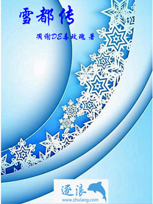 雪都传TXT下载"